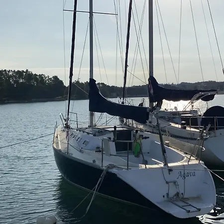 Ardura 别墅 扎顿